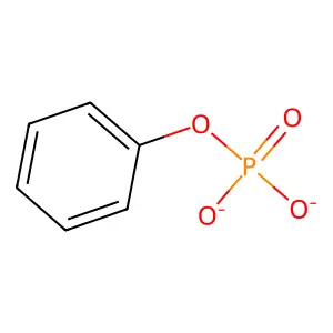 Phenol-phosphate structure
