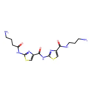 Thia-Net structure