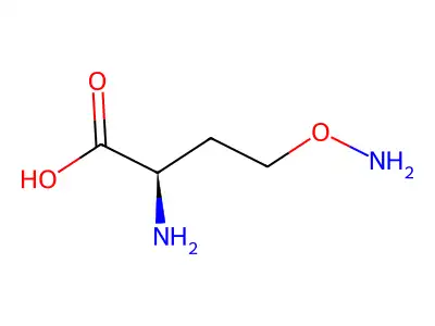 2-Amino-4-(aminooxy)butanoic acid structure