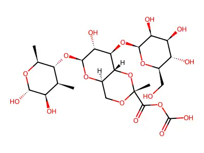 exopolysaccharide, Pseudomonas structure