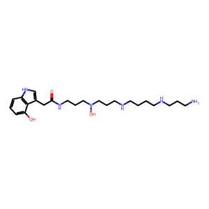 Agelenotoxin 448 structure