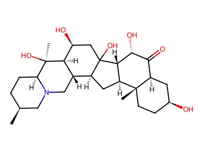 Pingpeimine C structure