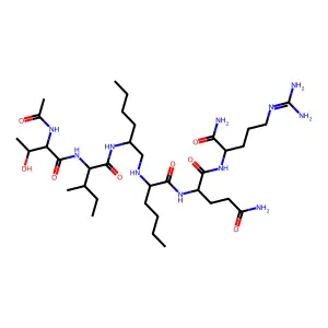 Mvt 101 structure