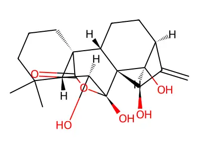 (-)-Rabdoternin A structure