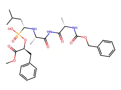 Cbzaal(P)(O)fome structure