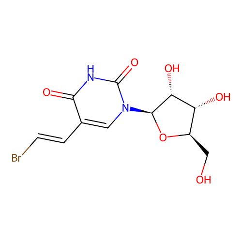 BV-riboU structure