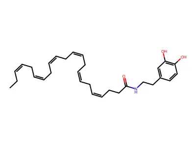 正二十二碳六烯酰多巴胺 structure