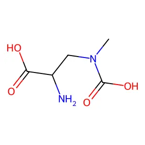 beta-(N-carboxy-N-methyl)aminoalanine structure