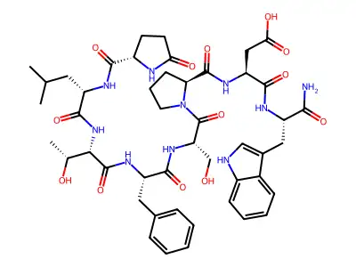 DAKH peptide structure