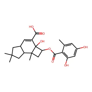 蜜环酸 structure