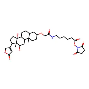 N-hydroxysuccinimidyl digoxigenin-3-O-methylcarbonyl-epsilon-aminocaproate structure