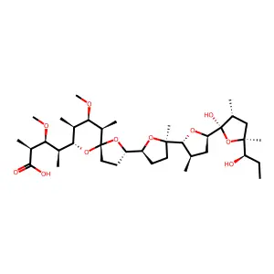 Kijimicin structure