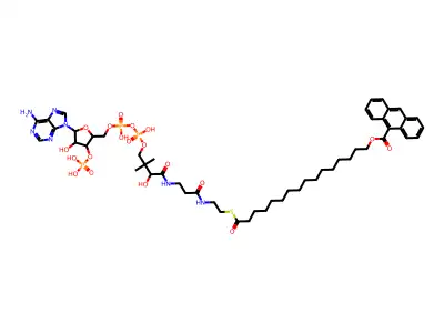 16-(9-anthroyloxy)palmitoyl-coenzyme A structure