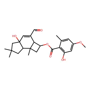 NCI60_025246 structure