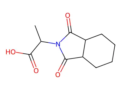 2-(1,3-dioxo-octahydro-1H-isoindol-2-yl)propanoic acid structure