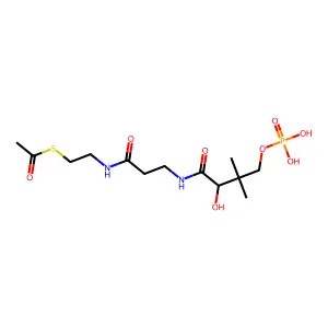 S-Acetylphosphopantetheine structure