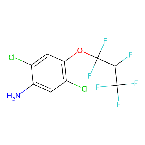 2,5-Dichloro-4-(1,1,2,3,3,3-hexafluoropropoxy)aniline structure
