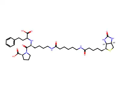 Lisinopril, epsilon-biotinamidocaproyl- structure