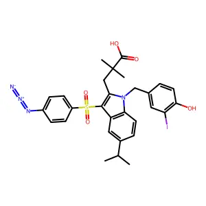 L 669083 structure