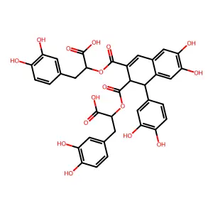 Caffeic acid tetramer structure
