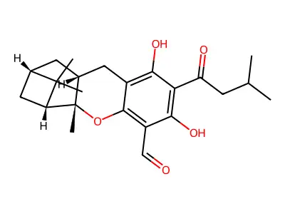 Euglobal G2 structure
