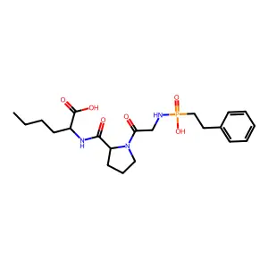 N-(phenylethylphosphonyl)-glycyl-prolyl-aminohexanoic acid structure