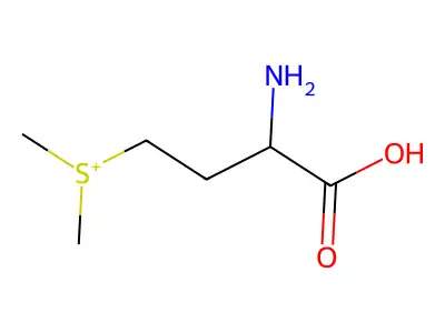 維生素U structure