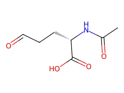 N-acetylglutamate semialdehyde structure