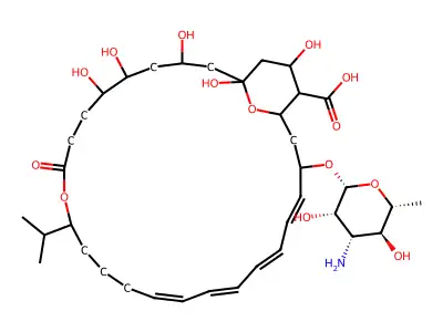 YS 822A structure