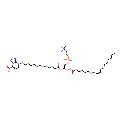 C12-Nbd-PC structure