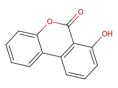6H-Dibenzo(b,d)pyran-6-one, 7-hydroxy- structure