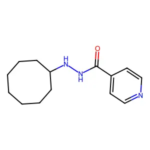 N'-环辛基吡啶-4-甲酰肼 structure