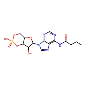 Adenosine, N-(1-oxobutyl)-, cyclic 3',5'-(hydrogen phosphate) structure