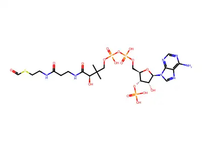 Formyl coenzyme A structure