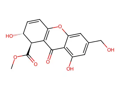 Agi-B4 structure