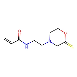 2-硫代吗啉基乙基丙烯酰胺 structure