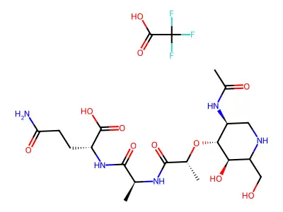 Atiglai structure