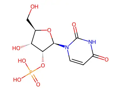 2'-尿苷酸 structure
