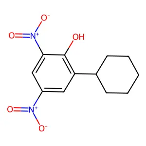 Dinex structure