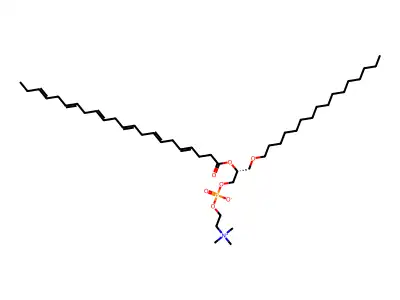 1-O-十六烷基-2-O-二十二碳六烯酰-sn-甘油-3-磷酸胆碱 structure