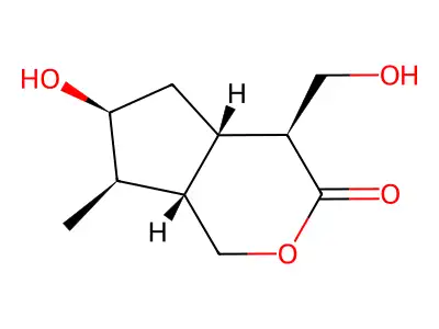 2,5-Diazabicyclo[2.2.1]heptane structure