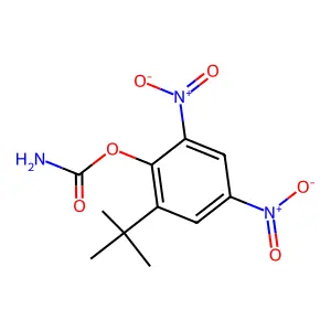 Carbamic acid, 2-tert-butyl-4,6-dinitrophenyl ester structure