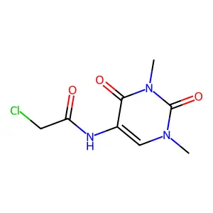 2-chloro-N-(1,3-dimethyl-2,4-dioxopyrimidin-5-yl)acetamide structure