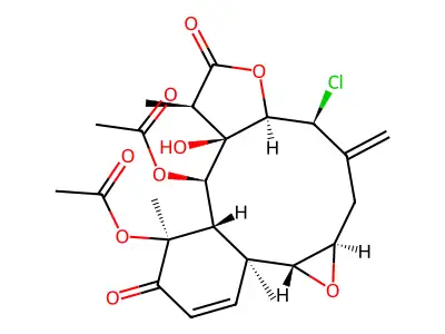 Erythrolide C structure