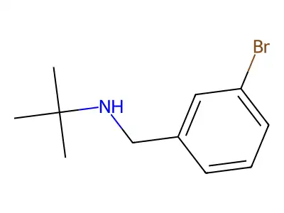 N-(3-溴苄基)-N-叔丁基胺 structure