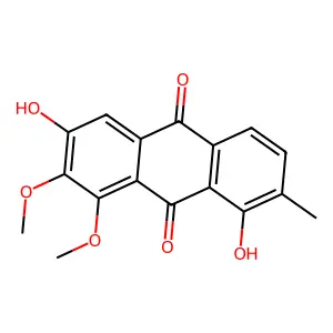 Rhynchotechol structure
