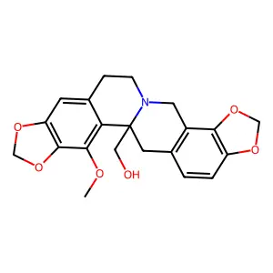 Zijinlongine structure