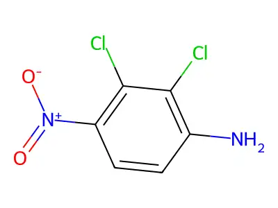 2,3-Dichloro-4-nitroaniline structure