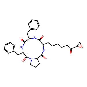 trapoxin structure