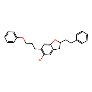L 670630 structure